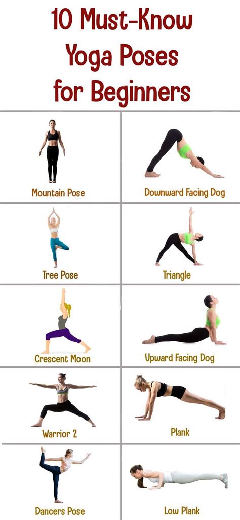 15 Basic Yoga Poses Every Beginner Must Know