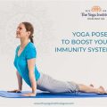 6 Yoga Poses to Boost Your Immunity