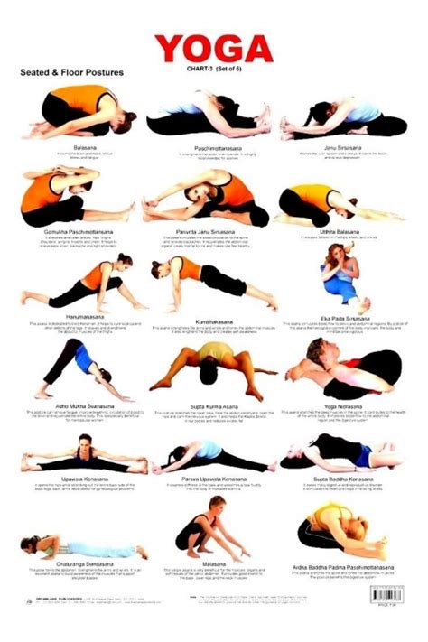 6 Yoga Styles for Absolute Beginners