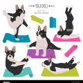 7 Yoga Terriers Poses to Enhance Positivity