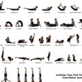 Ashtanga or Vinyasa Which to Try First?