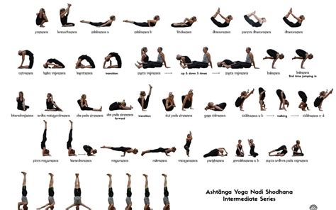 Ashtanga or Vinyasa Which to Try First?