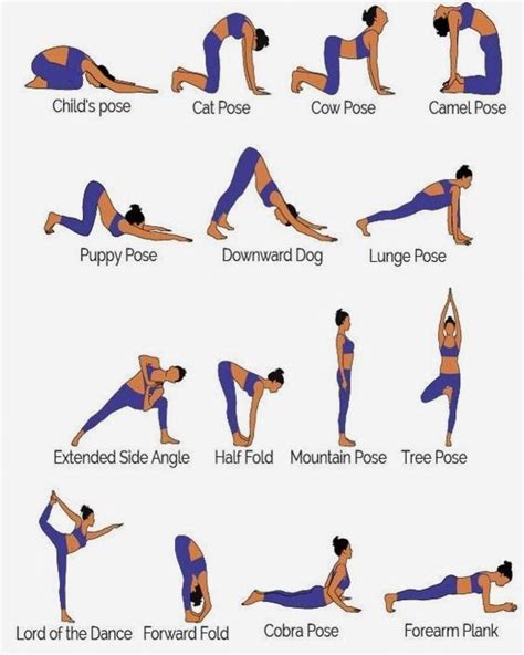 Basic Yoga Postures Explained