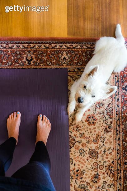 Best Mats For Practice By Yoga Terriers