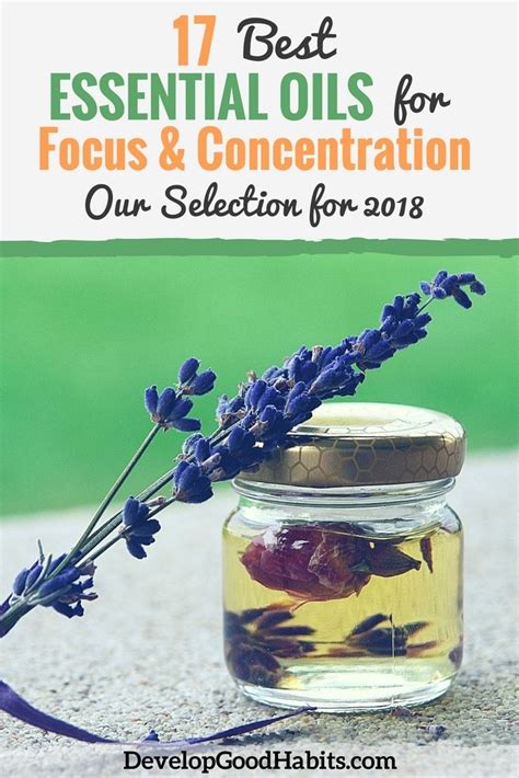 Best Oils For Focus By Yoga Terriers