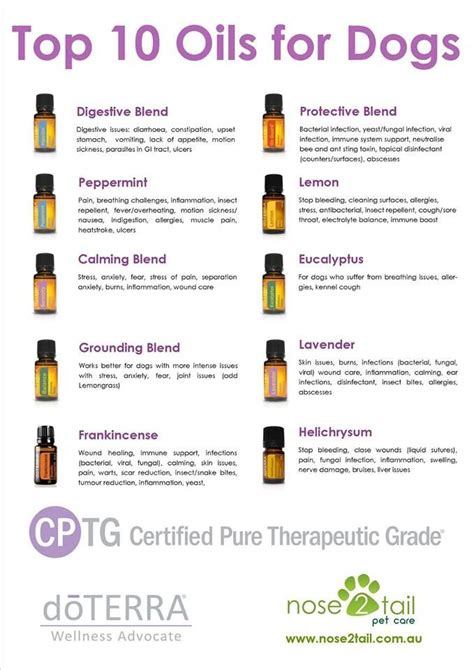 Best Oils For Home By Yoga Terriers