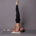 Best Props For Shoulder Work By Yoga Terriers