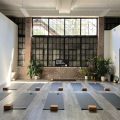 Best Studio Amenities By Yoga Terriers