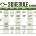 Best Studio Schedule By Yoga Terriers