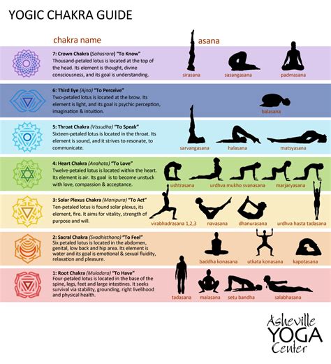 Best Time for Yoga Practice Guide