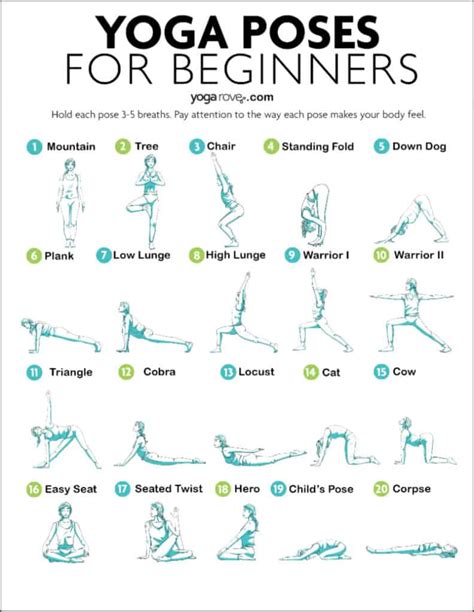 Best Yoga Poses for Complete Beginners