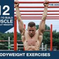 Build Strength Without Lifting Weights