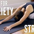 Can Yoga Reduce Your Stress Levels?