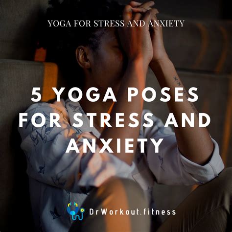 Can Yoga Terriers Help Reduce Your Stress?