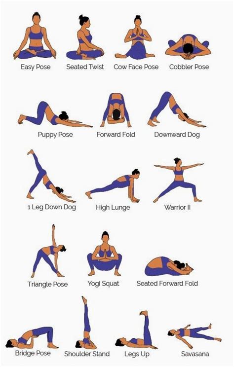 Compare Beginner Yoga Types Now