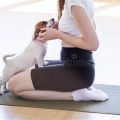 Discover Positivity Through Yoga Terriers