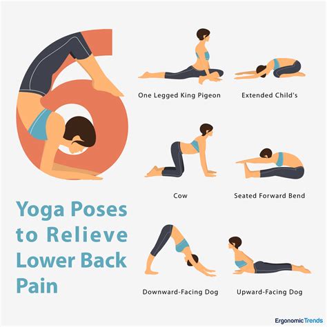 Easy Yoga Moves for Spine Health