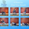 Essential Yoga Breathing Patterns