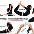 Find the Perfect Yoga Teacher in 5 Simple Steps