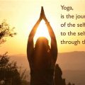 Harnessing Yoga for a Positive Life Journey