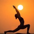 How Yoga Builds a Stronger Body and Mind