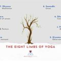 How Yoga Influences Our Life Philosophy