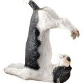 How Yoga Terriers Build With Props