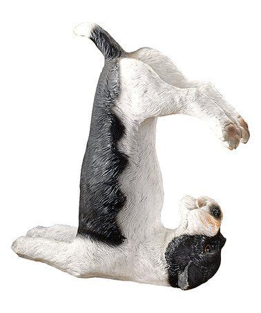 How Yoga Terriers Build With Props