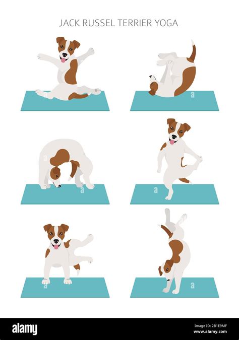 How Yoga Terriers Diffuse During Practice