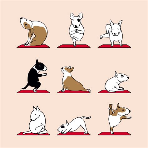 How Yoga Terriers Enhance Self-Exploration