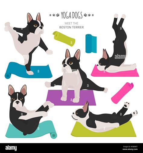 How Yoga Terriers Promote Relaxation