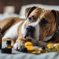 How Yoga Terriers Store Essential Oils