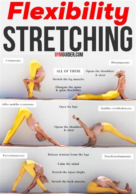 Improve Flexibility With These Yoga Stretches