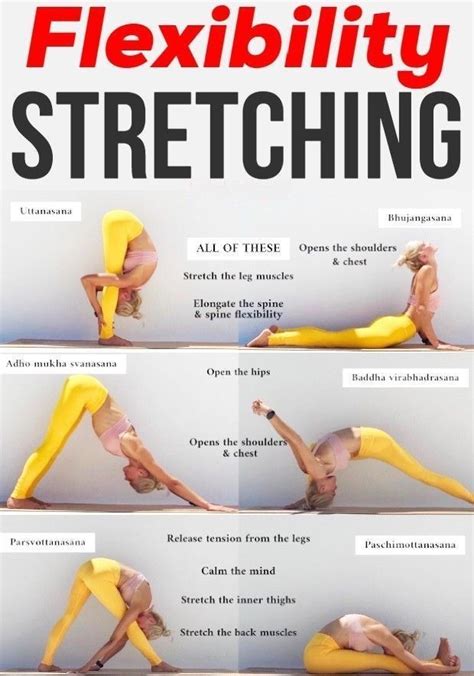 Improve Your Flexibility With These Stretches