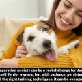 Mastering Stress with Yoga Terriers