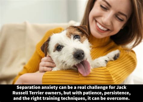 Mastering Stress with Yoga Terriers