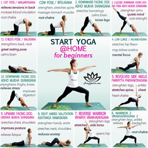 Safe Yoga Practice Guide for Beginners