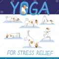 The Benefits of Yoga Terriers for Stress