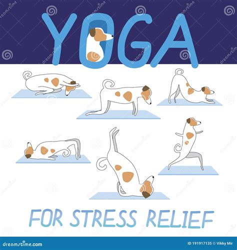 The Benefits of Yoga Terriers for Stress