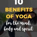 The Benefits of Yoga Terriers for Your Mindset