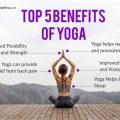 The Hidden Benefits of Practicing Yoga Terriers