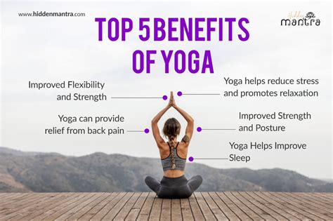 The Hidden Benefits of Practicing Yoga Terriers