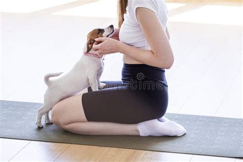 The Journey of Positivity with Yoga Terriers