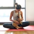 The Philosophy Behind the Yoga Terriers Practice