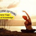 The Philosophy of Yoga: A Path to Wisdom