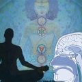 The Role of Meditation in Your Yoga Journey