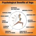 The Role of Yoga Terriers in Mental Wellness