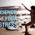 The Science Behind Yoga and Stress Relief