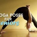 Top 5 Yoga Poses for the Elderly