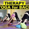 Top 7 Props For Back Care By Yoga Terriers